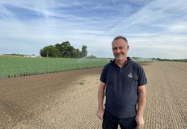 Guillaume Thomas, producteur et président de l'ODG (Organisme de défense et de gestion) des Amis de l'échalote d'Anjou. Il cultive 3,5 ha d'échalotes, sur une SAU totale de 55 ha.