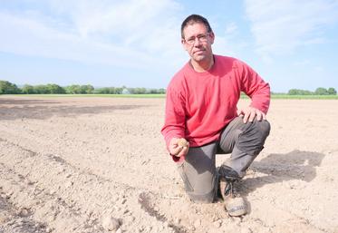 Arnaud Terrien, producteur de pommes de terre à Saint-Germain des Prés, à 100% en circuits courts.
