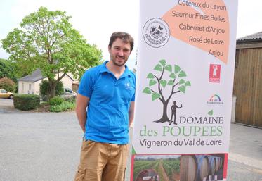 Clément Poupée, vigneron à Martigné-Briand, s'est inspiré de son nom de famille pour créer son nom de domaine et a repris le visuel du catalpa qui trône à l'entrée du domaine des Poupées.