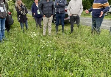 Gilles Paré, agriculteur à Beaufort-en-Anjou, a implanté une bande fleurie d'une quinzaine d'espèces en bordure d'une de ses parcelles.