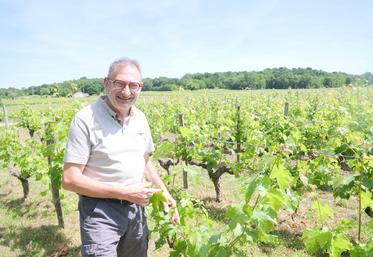 Jean Luc Mary apprécie aussi bien la production que la vinification ou le commerce du vin. Au 22 mai, la vigne commence à fleurir à Saumur.