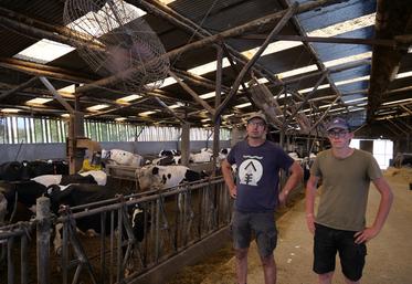 Didier Ouvrard et son apprenti dans le bâtiment des vaches laitières équipé de ventilateurs et d'une rampe de brumisation. Même avec tous ces dispositifs, il faisait déjà 33°C lundi dans le bâtiment, et le mercure est monté jusqu'à 43°C fin juin.