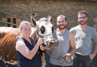 Claire, Thibaut et Mathieu Lambert, sont associés avec leur mère au sein du Gaec La Normande.