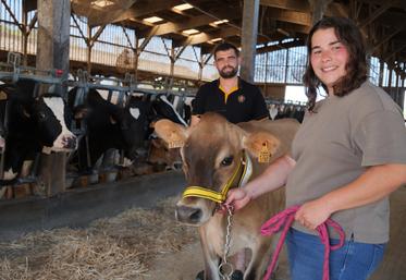 Dans l'élevage d'Alicia et Jean, les grandes prim'holstein ont fait leur place aux petites jersiaises. 