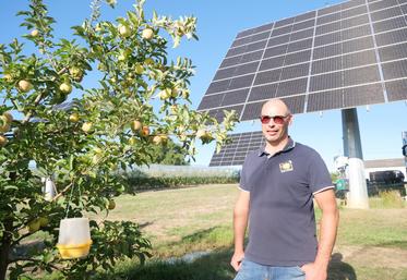 Albert Augereau, arboriculteur à Chemillé en Anjou, a fait installer des trackers solaires il y a 3 ans.