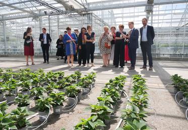 La ministre de l'Agriculture a visité la serre Maine du lycée du Fresne qui abrite la production de poinsettia et l'aspirateur à ravageurs. Auparavant, elle avait rencontré les élèves, dont la première promotion de bachelor, guidée par Sylvie Richard, directrice du lycée.