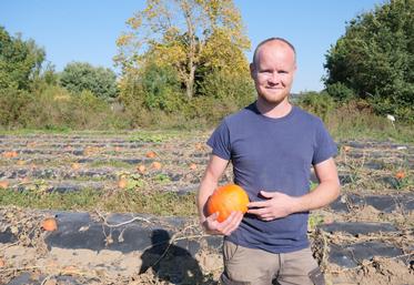 La récolte de courges va être maigre cette année chez Donovan Roland.