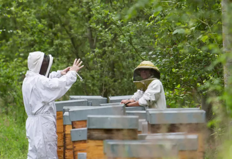 Les apiculteurs engagés dans la démarche régionale doivent se soumettre au contrôle de leurs pairs, comme ici près de Laon (Aisne). 