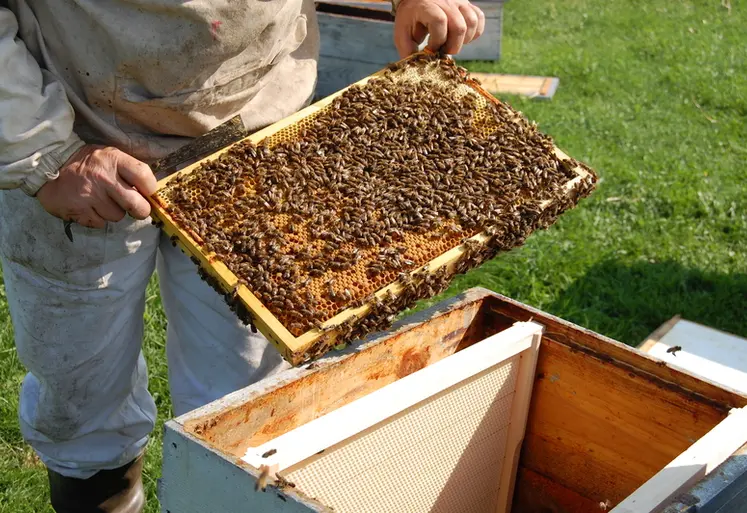 <em class="placeholder">Les visites de printemps pour bien débuter sa saison</em>