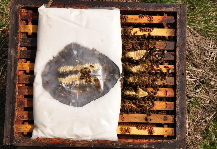 <em class="placeholder">Le candi peut servir de nourriture pour les abeilles.</em>