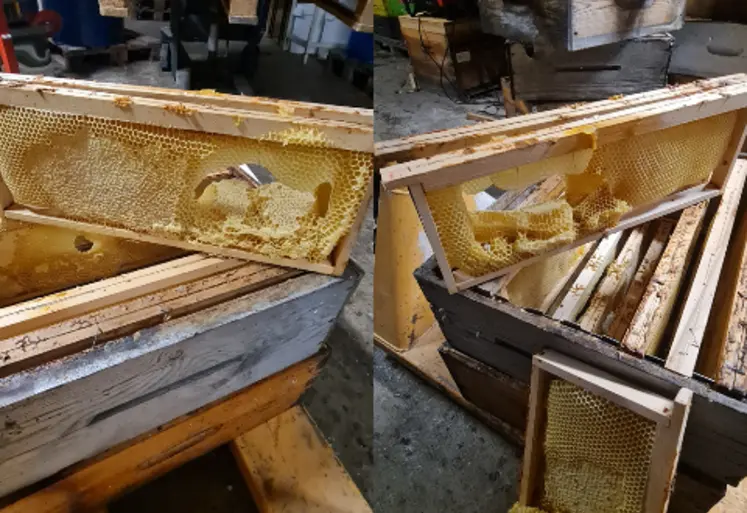 <em class="placeholder">Exemple de cire fondue</em>