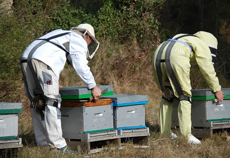 <em class="placeholder">Une alternative textile légère aux exosquelettes, facile à porter toute la journée.</em>