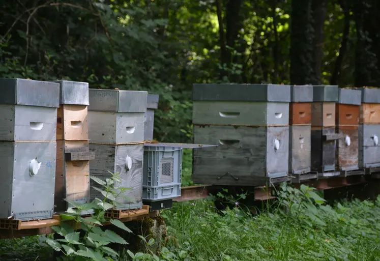 <em class="placeholder">Comment améliorer son confort au travail ?</em>