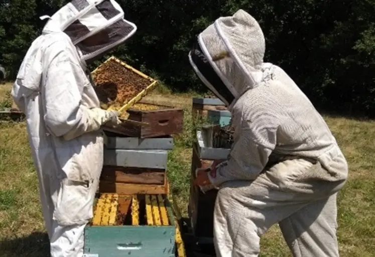 <em class="placeholder">L'entraide change tout au quotidien d'un apiculteur ou d'une apicultrice</em>