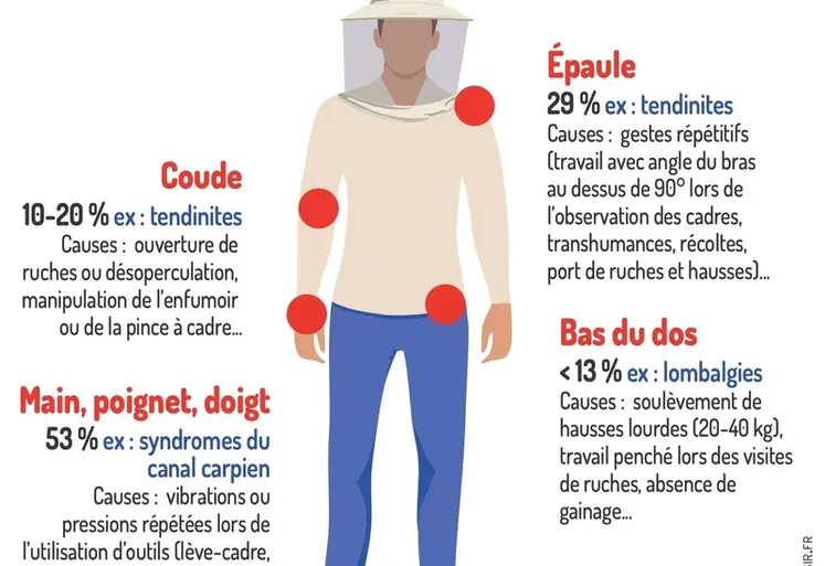 <em class="placeholder">Les TMS en apiculture : quand le corps dit stop</em>