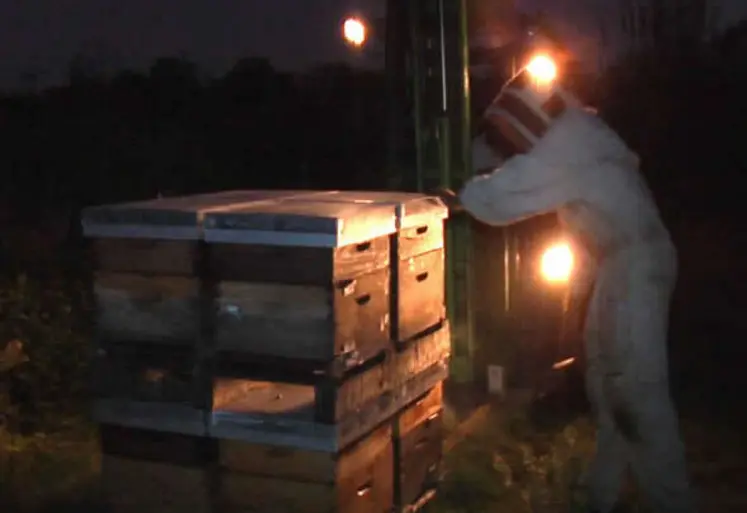 <em class="placeholder">La transhumance de nuit faite sous forte lumière est susceptible de dérégler le cycle naturel des abeilles.</em>