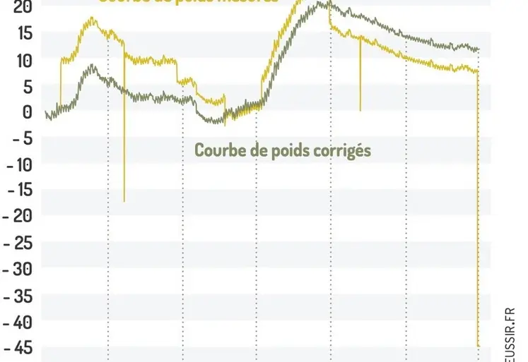 <em class="placeholder">Courbe de poids mesuré (en bleu) et la courbe de poids corrigée (en vert), où les interventions majeures et les accidents sont supprimés. </em>