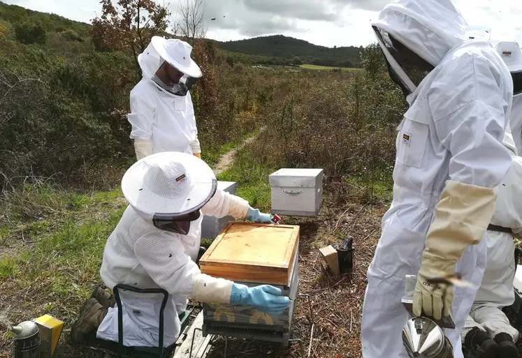 <em class="placeholder">Un tabouret renforcé pour des visites plus confortables</em>