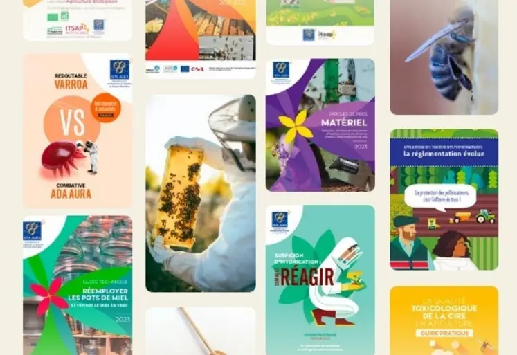 <em class="placeholder">Un site dédié au ressources de Résapi</em>