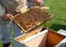 <em class="placeholder">Les visites de printemps pour bien débuter sa saison</em>