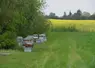 <em class="placeholder">Il existe des dispositifs et structures d’accompagnement à la transmission en apiculture. </em>