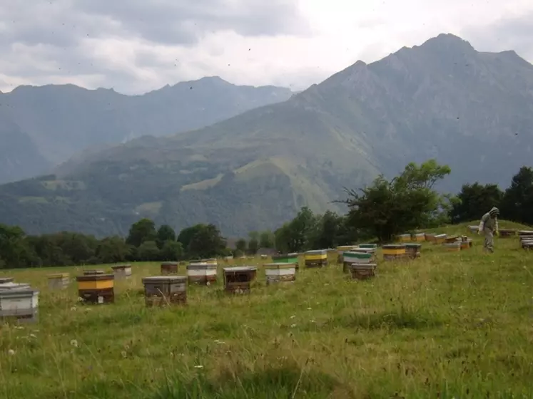 Nouveau traitement varroa utilisable en apiculture bio