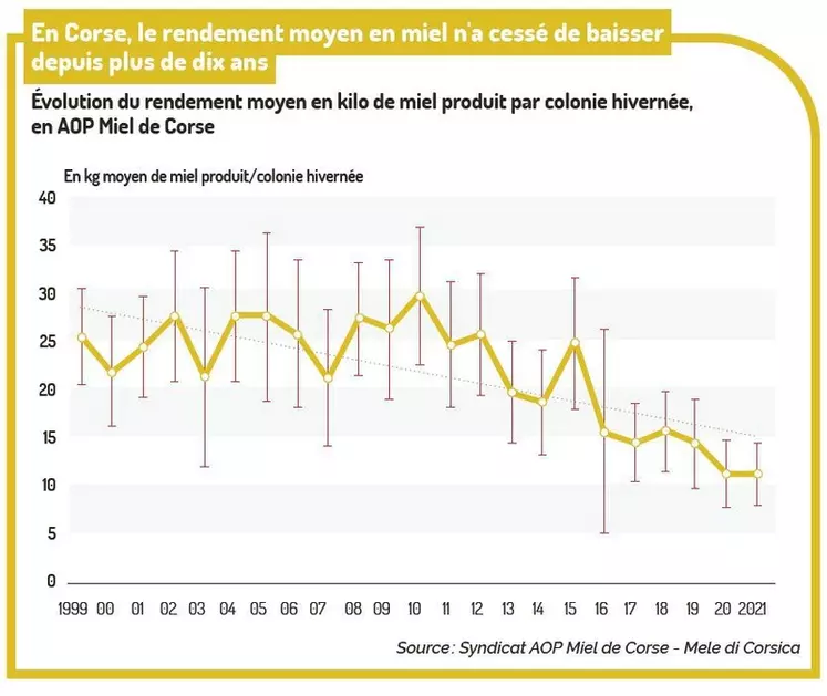 Les effets majeurs du changement climatique vus par des apiculteurs