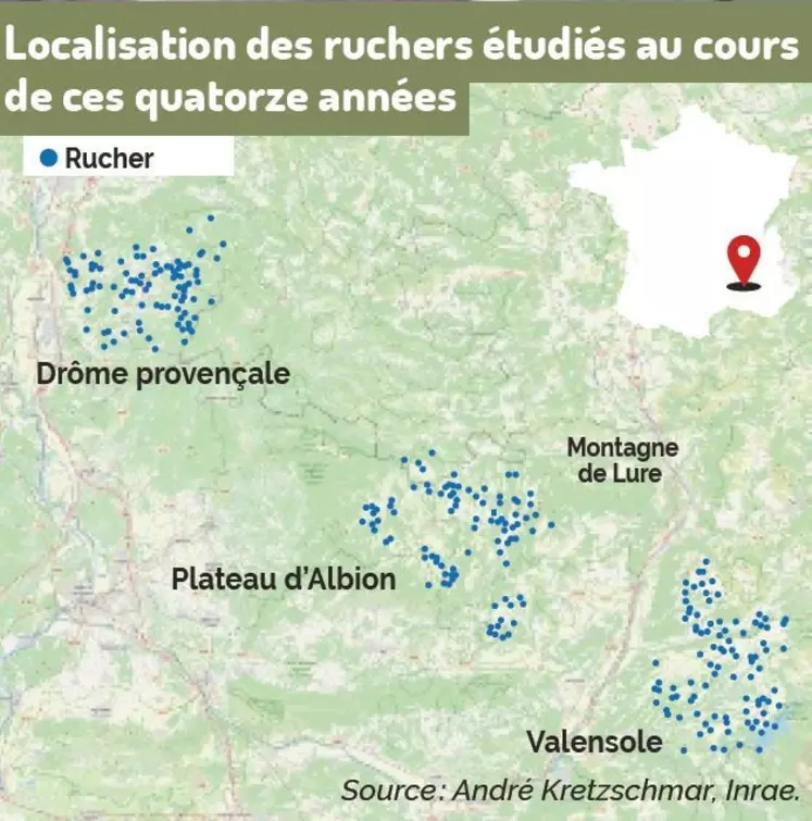 Les facteurs de réussite de la production de miel de lavande en Provence