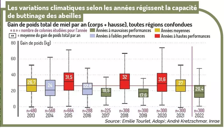 Les facteurs de réussite de la production de miel de lavande en Provence