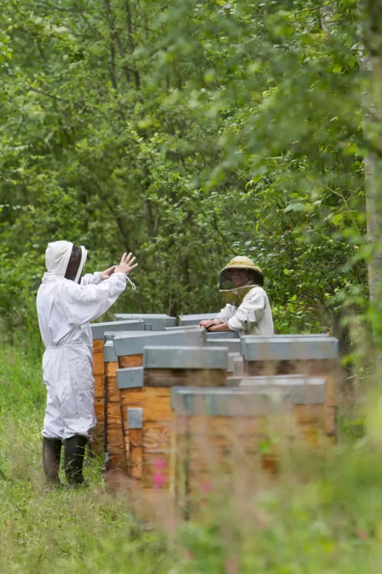 Les apiculteurs engagés dans la démarche régionale doivent se soumettre au contrôle de leurs pairs, comme ici près de Laon (Aisne). 