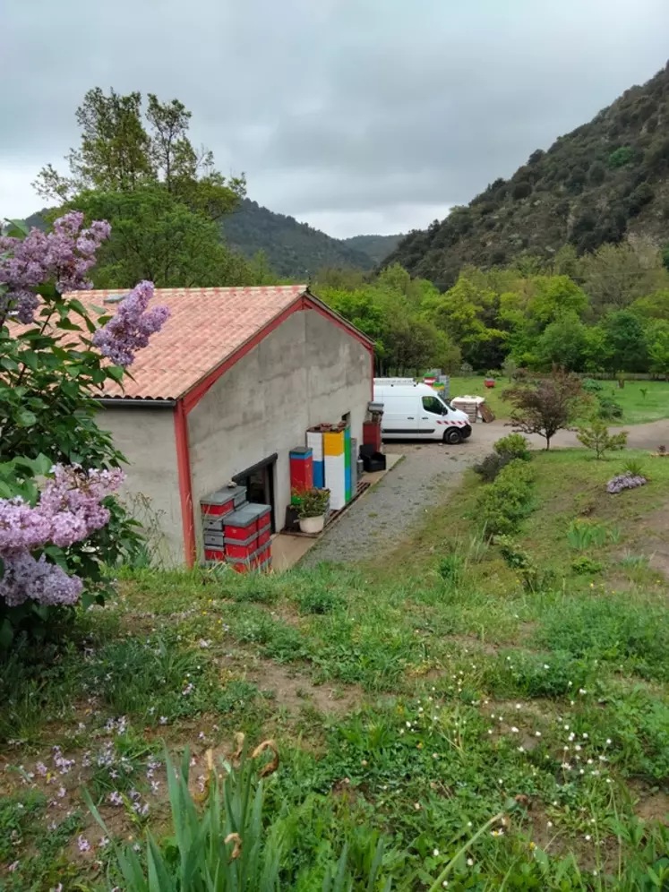 Flore Chotard, apicultrice professionnelle. «Je suis apicultrice professionnelle depuis 2008, je me suis installée il y a quatre ans dans un petit village de l'Aude.»