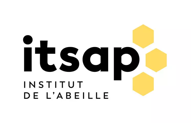 Logo de l'Itsap-Institut de l'abeille, institut désormais qualifié de la filière apicole.