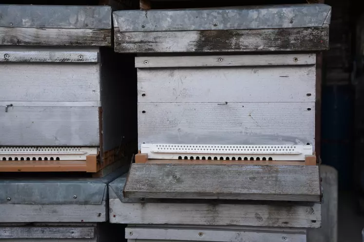 Essayer de se regrouper rapidement avec d’autres apiculteurs peut être une bonne idée, pour faire baisser les coûts des matériels auprès des fournisseurs.