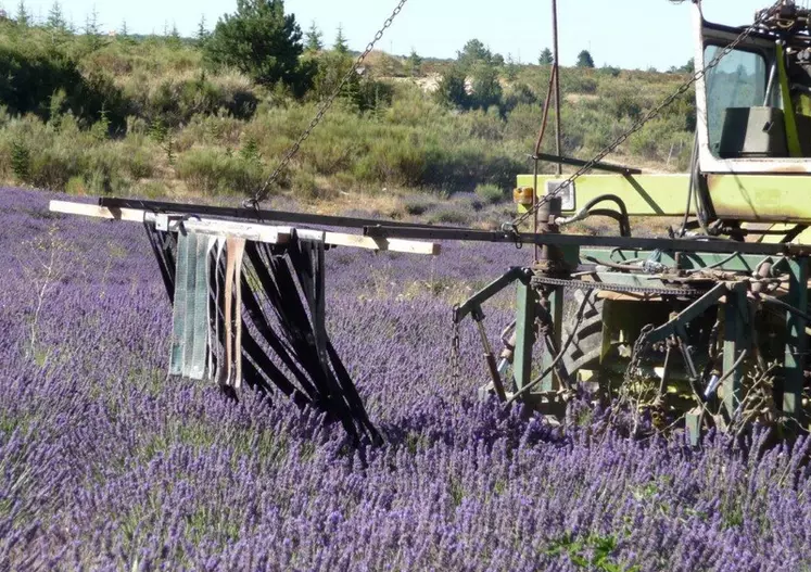 Dispositif de chasse-abeilles constitué de lanières lestées de plomb, monté à l’avant d’une ensileuse.