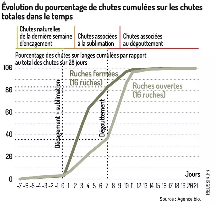 Préparation de l'acide oxalique et techniques de dégouttement. 