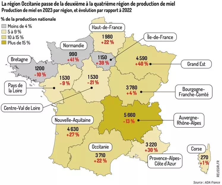 Carte de France de la production de miel : la région Occitanie passe de la deuxième à la quatrième région de production de miel
Production de miel en 2023 par région, ...