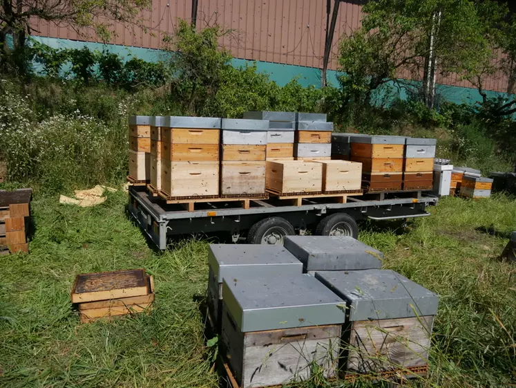 Préparation des essaims avec hausses sur le camion.