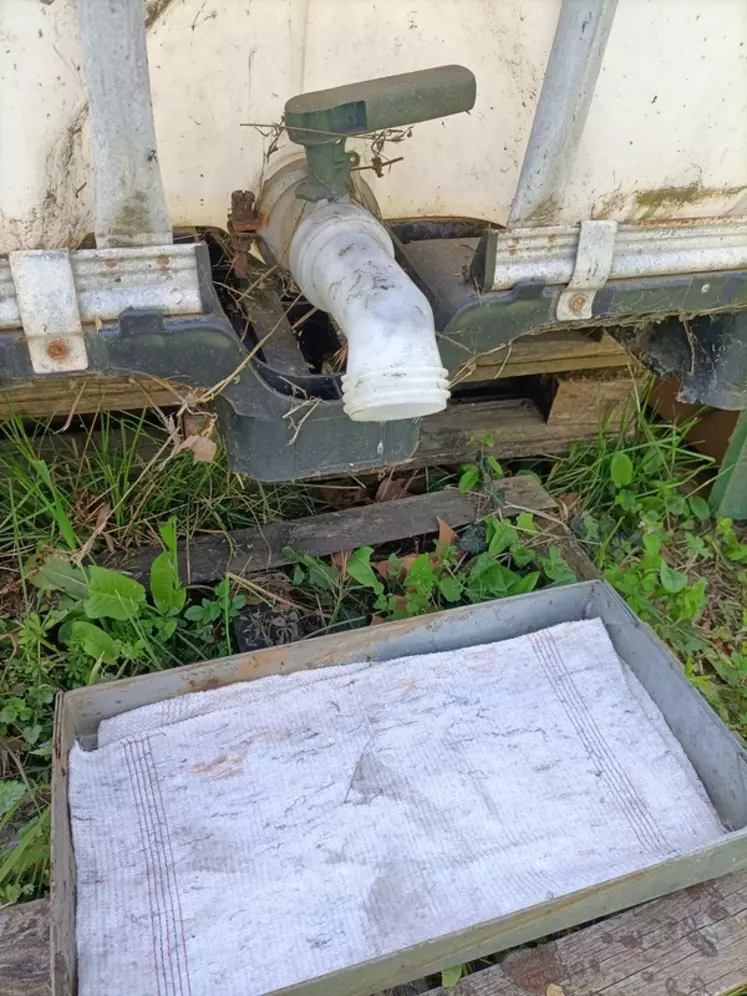 De la cuve agricole à l’abreuvoir pour abeilles, avec un système de goutte à goutte sur une serpillière