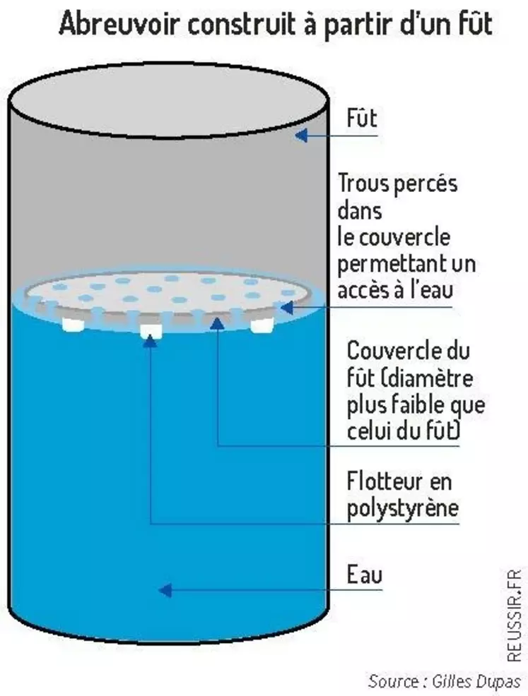 A chaque apiculteur son type d'abreuvoir