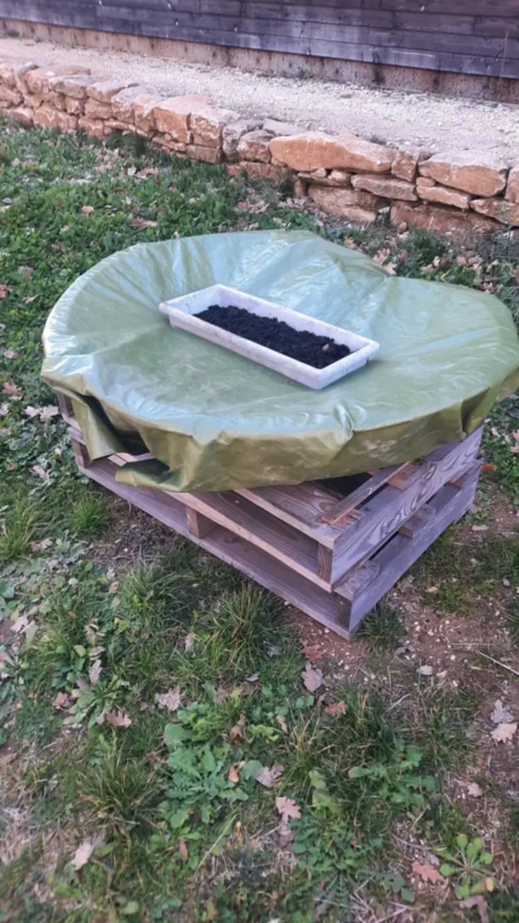 Abreuvoir avec un bac à sable pour enfant