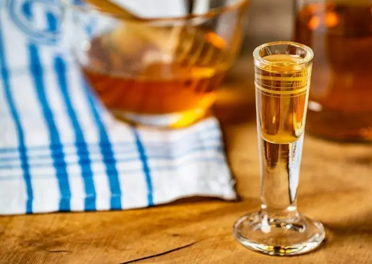 L’hydromel nécessite un suivi précis de la fermentation pour l’obtention d’un produit savoureux et de qualité 
