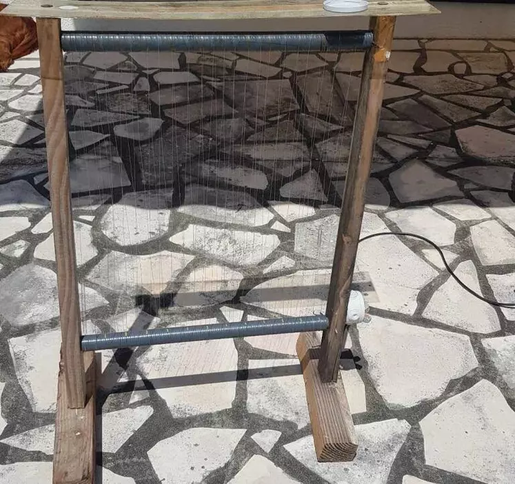 Une harpe pour diminuer la pression du frelon