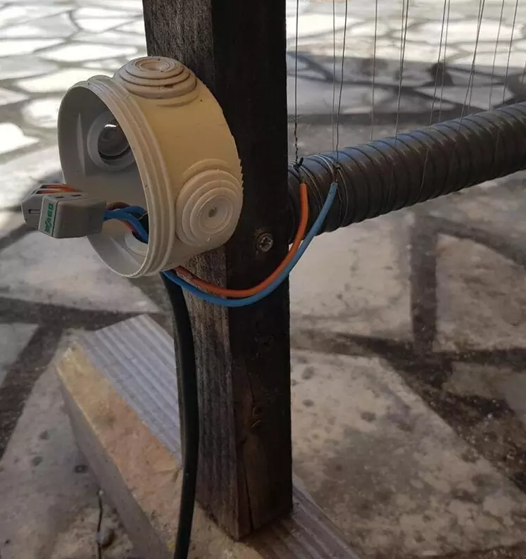Une harpe pour diminuer la pression du frelon