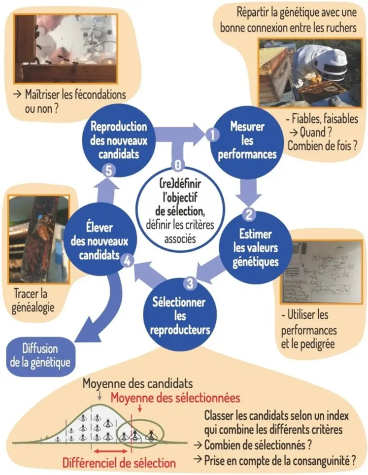 <em class="placeholder">Schéma de la sélection</em>