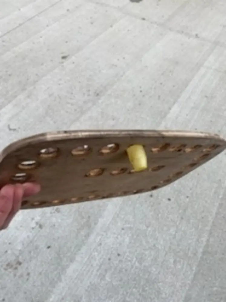 <em class="placeholder">Une glacière pour transporter les cellules</em>