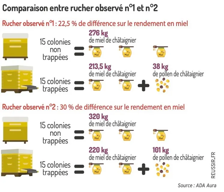 <em class="placeholder">Comparaison entre rucher observé n°1 et n°2</em>