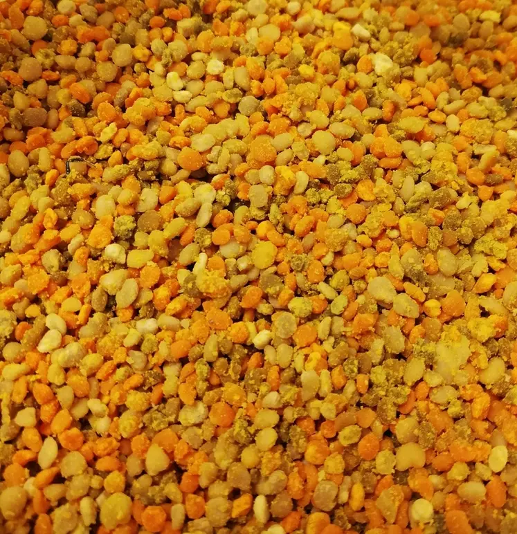<em class="placeholder">La récolte du pollen est en pratique très simple, mais il est nécessaire de respecter quelques règles pour favoriser la qualité du produit.</em>