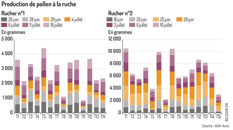 <em class="placeholder">Production de pollen à la ruche</em>
