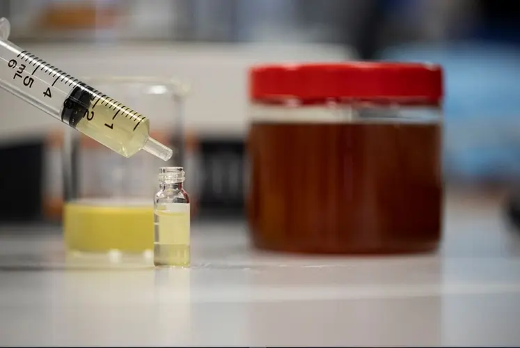 <em class="placeholder">L’analyse microscopique sert principalement à déterminer l’origine botanique du miel via l’étude des grains de pollen.</em>