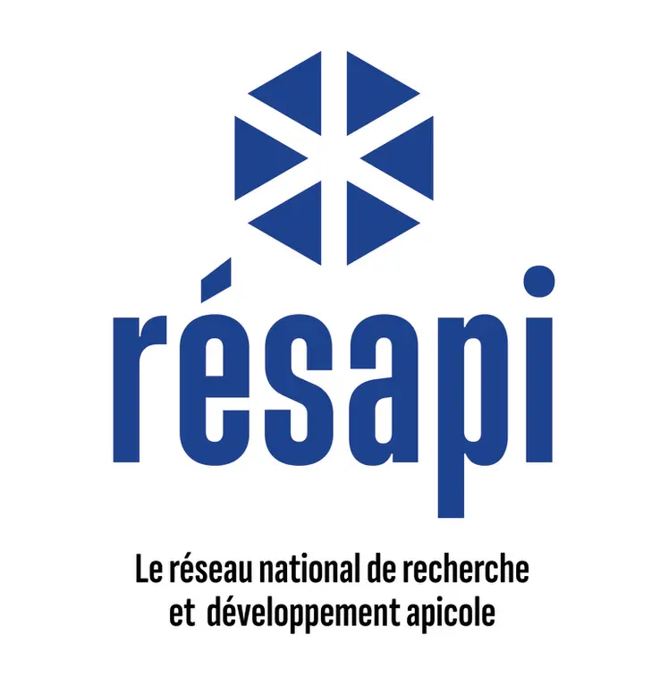 <em class="placeholder">Le logo Résapi, pour les travaux communs des ADA, ADA France et de l'ITSAP.</em>